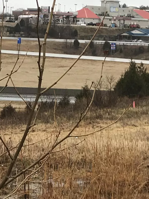 285 Bee Creek Road, Branson, MO 65616