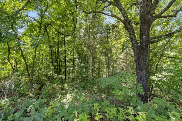 Kimberling City, MO 65686,Lot 8 Trail Ridge DR