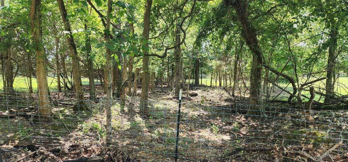 0000 Old Niangua RD, Hartville, MO 65667