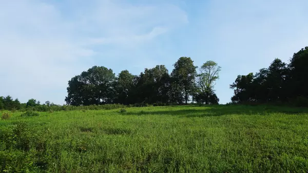 Ava, MO 65608,252 Douglas County RD #5