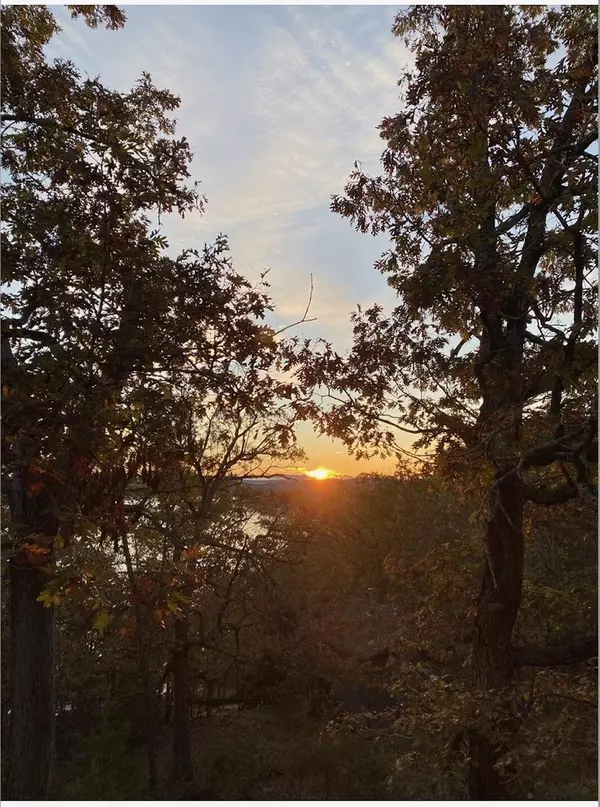 Galena, MO 65656,105 Overlook DR