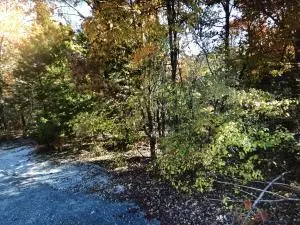 403 N Cheyenne LN, Horseshoe Bend, AR 72512