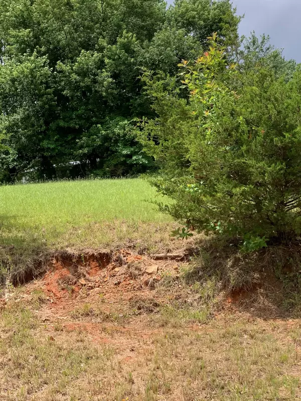 Seligman, MO 65745,Lot 45 Blockade Village