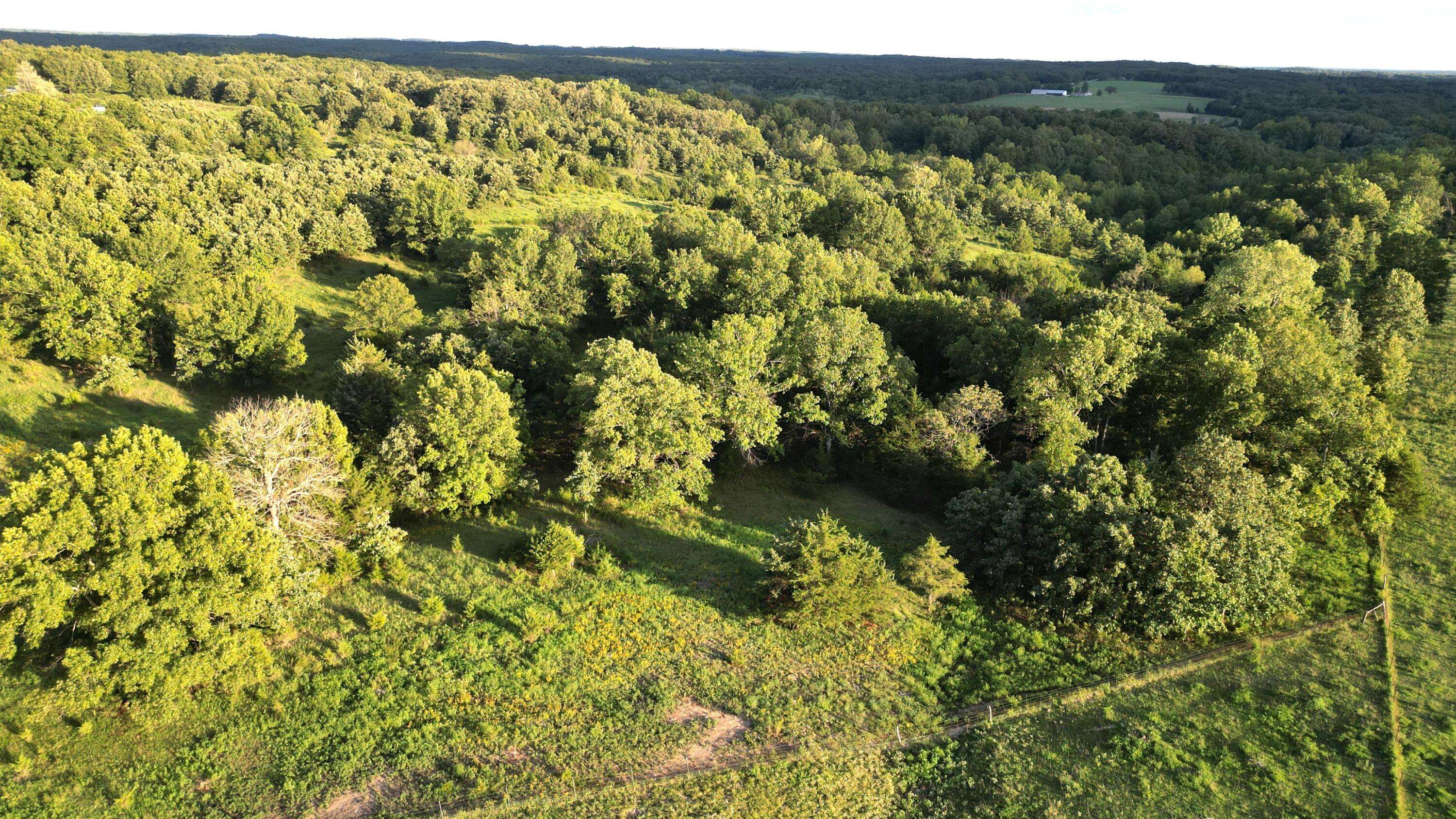 Flemington, MO 65650,000 S 124th RD