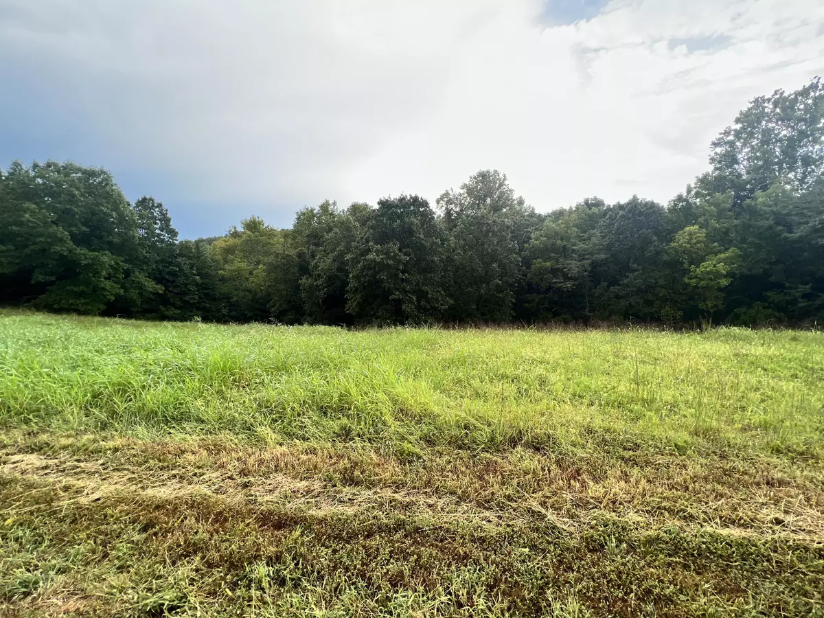 Cape Fair, MO 65624,118 Panorama DR
