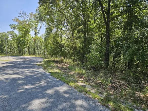 161 Forestview CT, Cape Fair, MO 65624