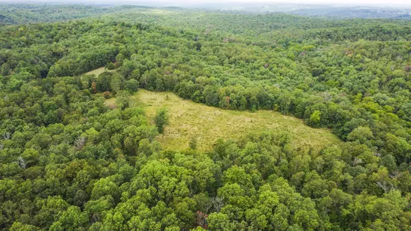 Willow Springs, MO 65793,000 County Road 1990