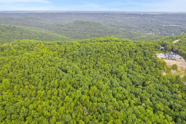 Cape Fair, MO 65624,000 Piney Tower RD #Tbd