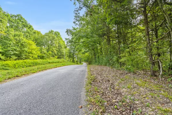 Cape Fair, MO 65624,000 Piney Tower RD #Tbd