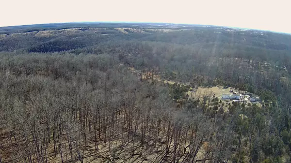 Gainesville, MO 65655,Tbd000 Tbd County Road 522