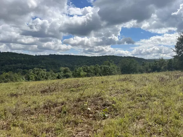 000 County Road 527, Gainesville, MO 65655