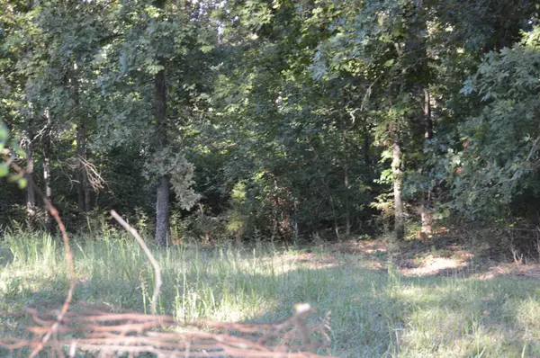 Shell Knob, MO 65747,000 San Souci Drive