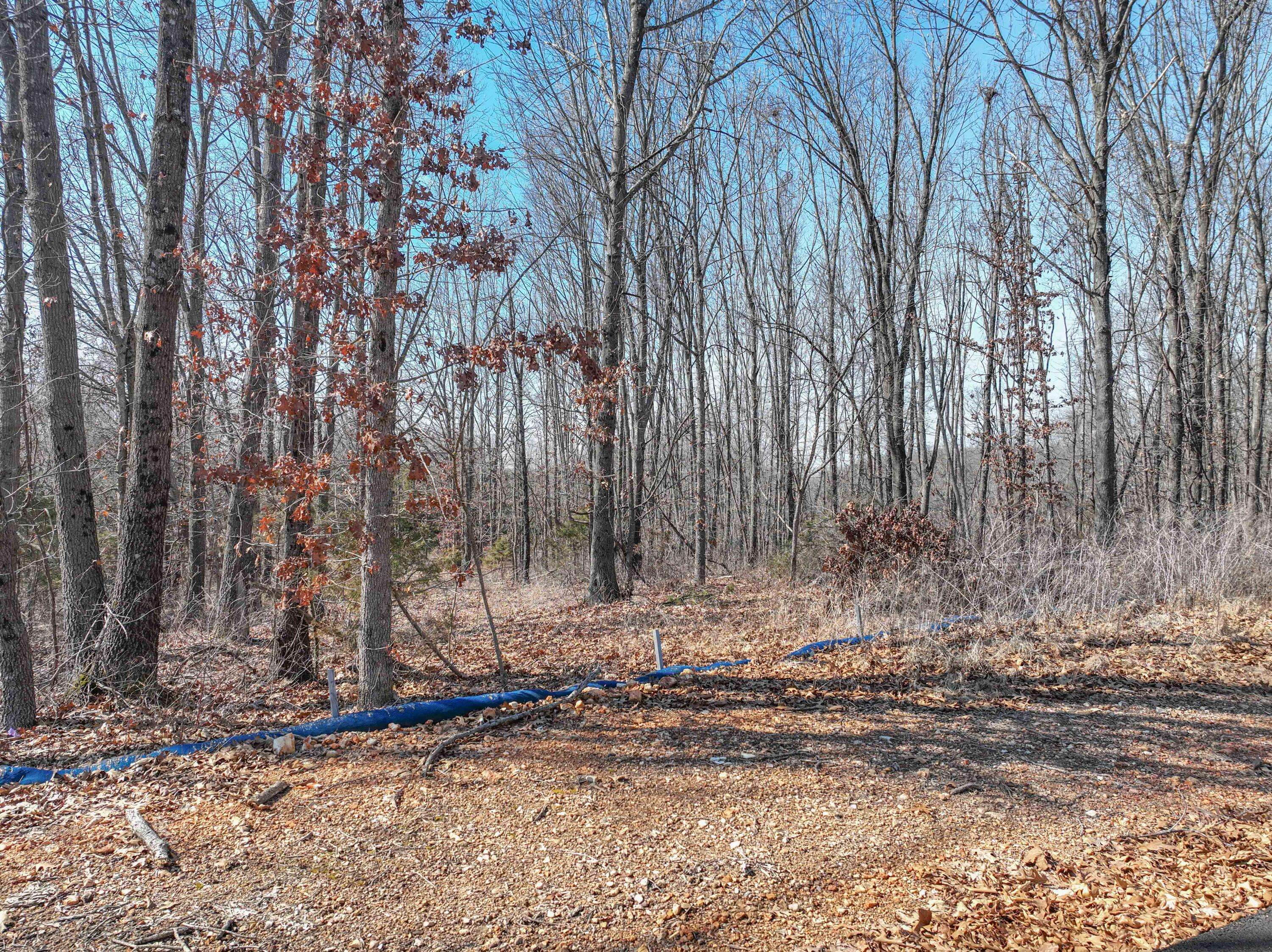 Highlandville, MO 65669,000 Raspberry Rd #Lot 61a