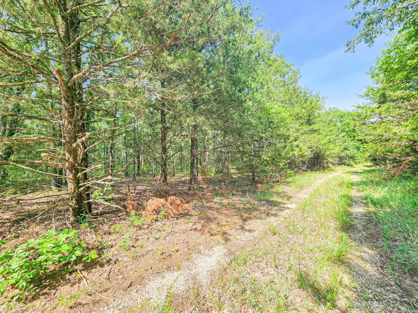 Cross Timbers, MO 65634,Lot 90 Buck Mountain