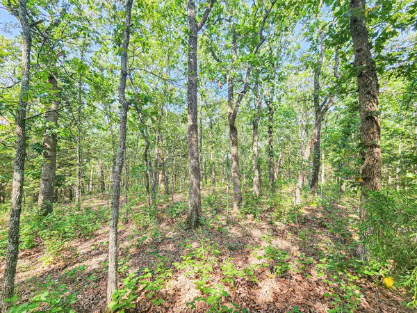 Cross Timbers, MO 65634,Lot 90 Buck Mountain