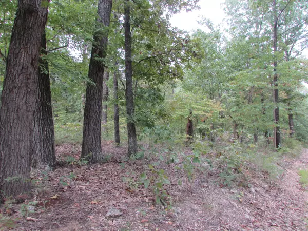 Gainesville, MO 65655,000 Tbd County Road 553a