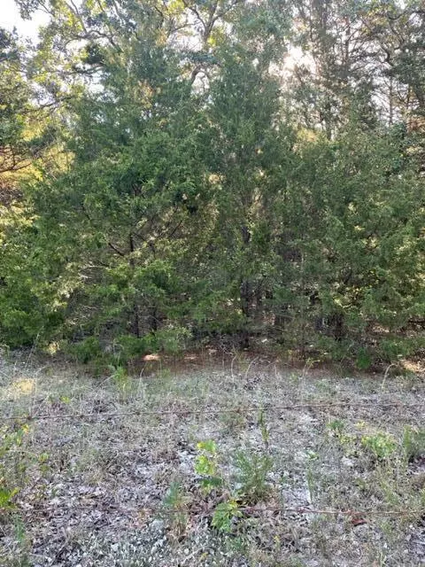 Wheatland, MO 65779,Tbd County Road 203