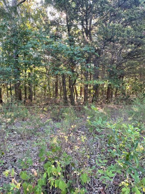 Tbd Cr 203, Wheatland, MO 65779