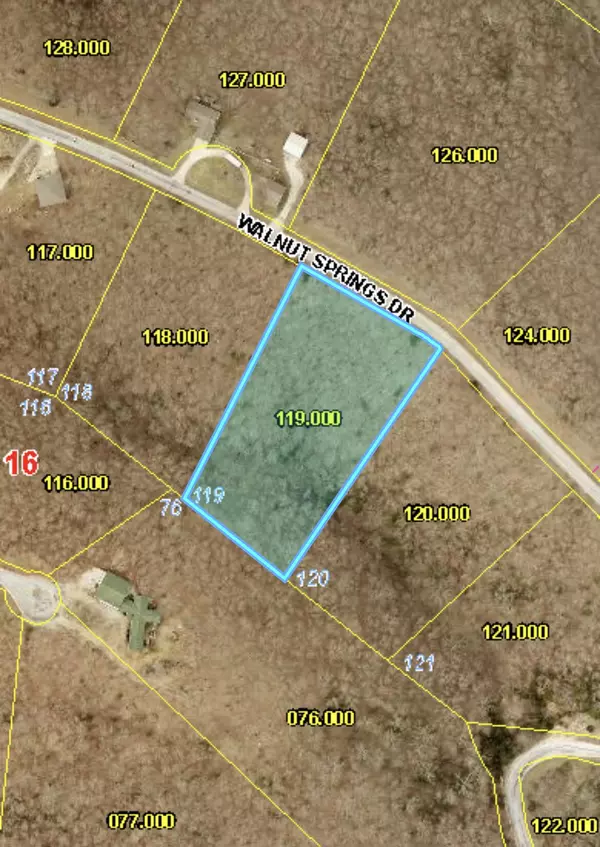Cape Fair, MO 65624,119 Walnut Springs DR
