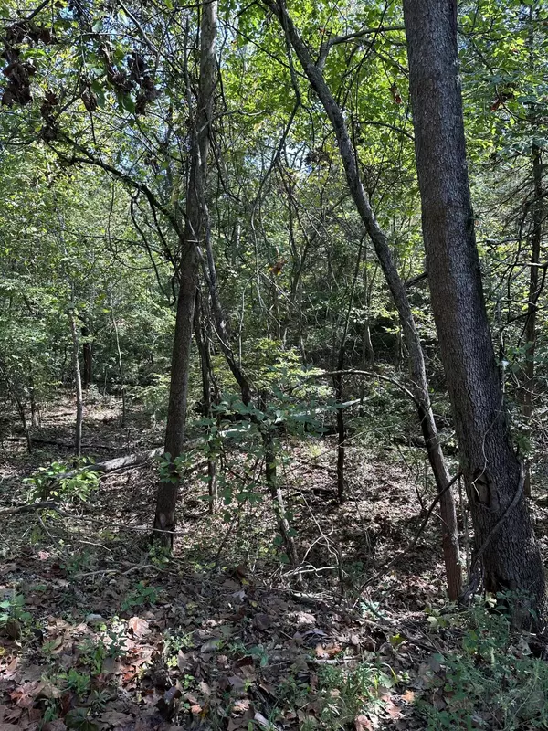 Shell Knob, MO 65747,000 Juniper LN