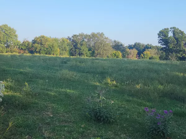 Stella, MO 64867,000 Terrier RD