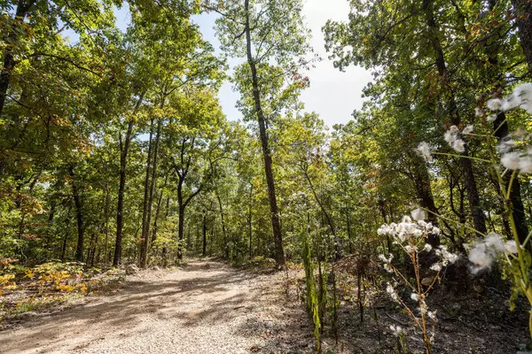 Doniphan, MO 63935,3149 Forest Service Rd