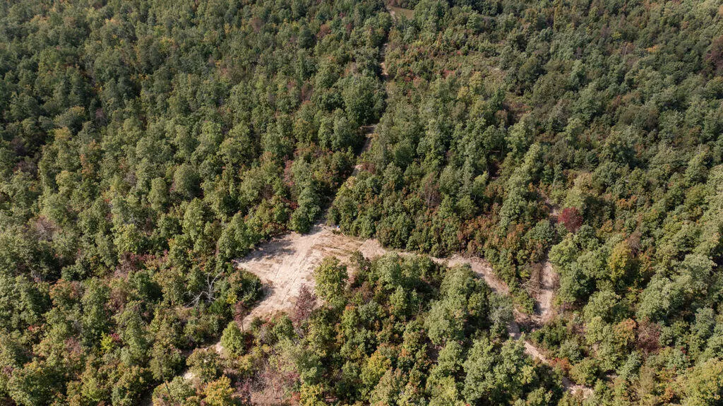 Birch Tree, MO 65438,0000 County Road 458b