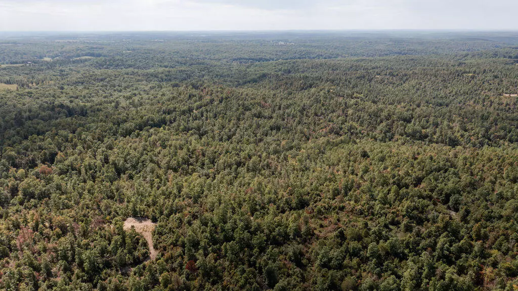 Birch Tree, MO 65438,0000 County Road 458b