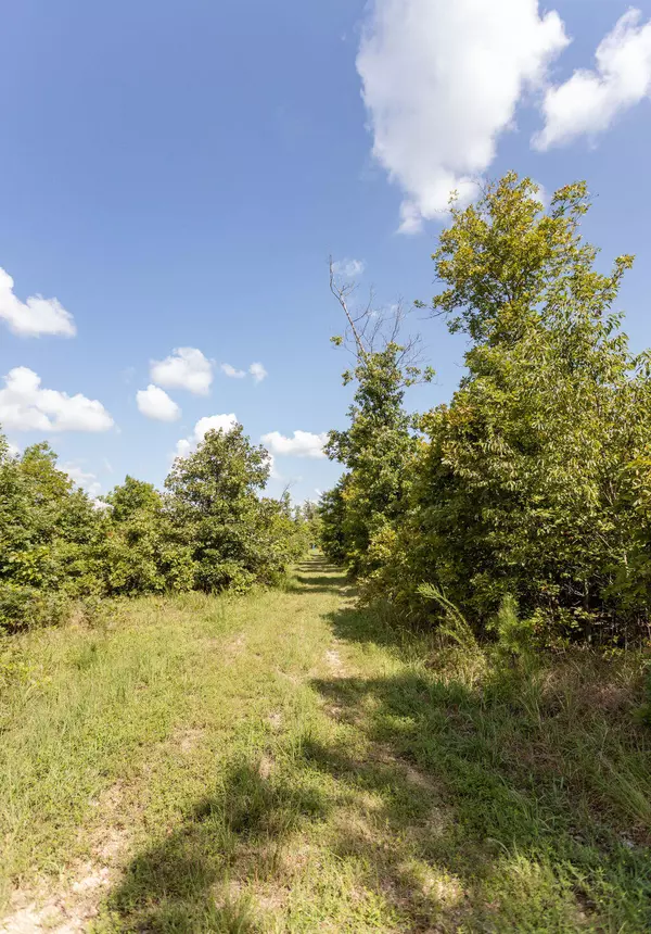 Birch Tree, MO 65438,0000 County Road 458b