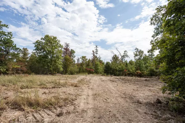 Birch Tree, MO 65438,0000 County Road 458b