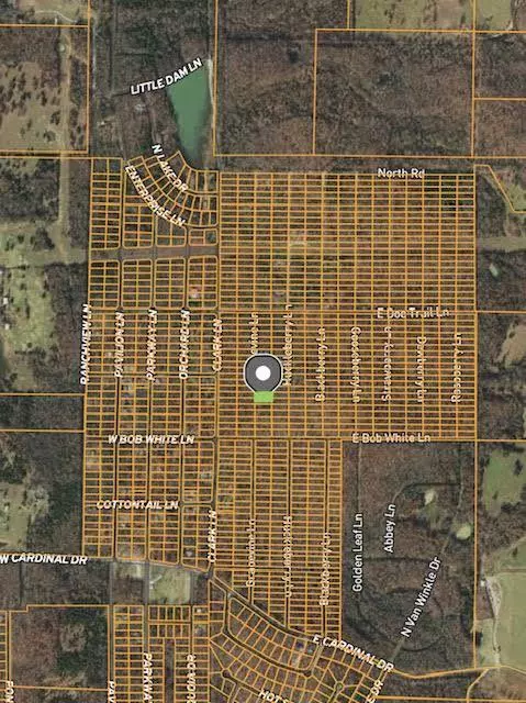 Horseshoe Bend, AR 72512,1316-1318 Grapevine LN