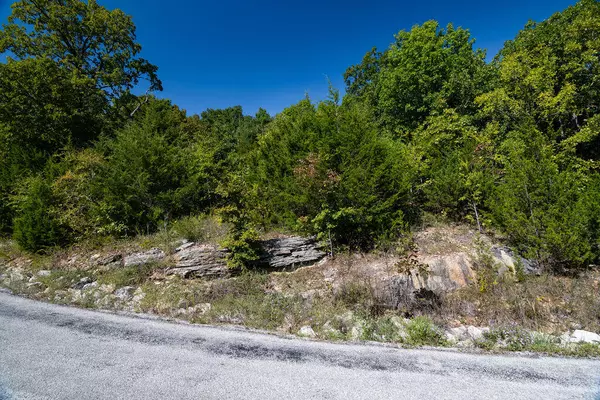 Branson, MO 65616,50 Map LN