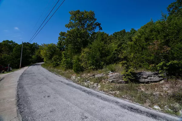 Branson, MO 65616,50 Map LN