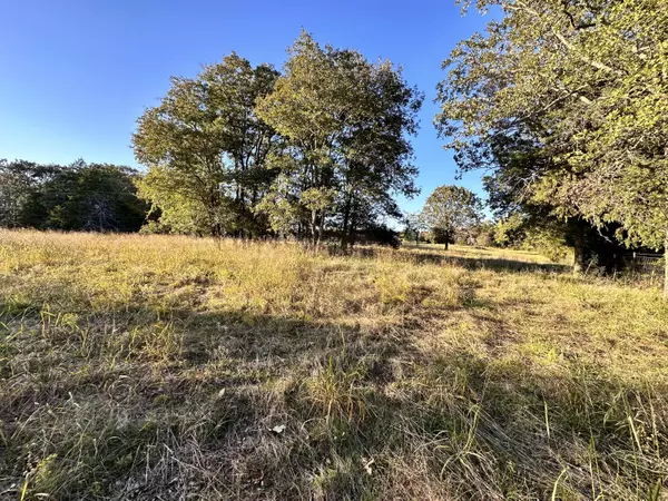 Cedarcreek, MO 65627,000 A B Fine Road Tract C RD