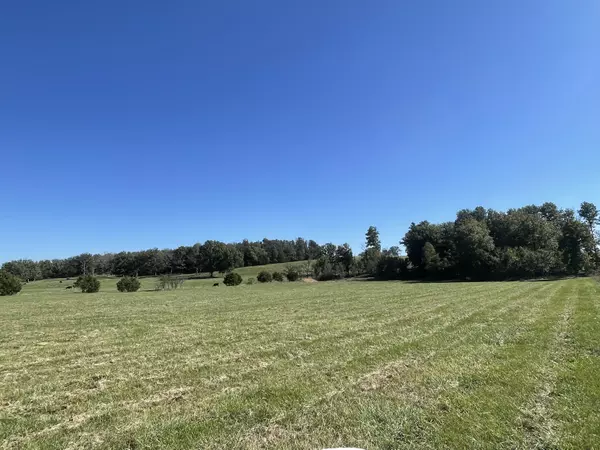 Crane, MO 65633,22691 State Hwy TT