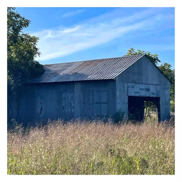 Crane, MO 65633,22691 State Hwy TT