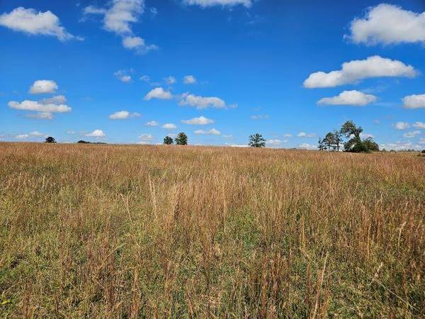 000 Kaylor RD, Mountain Grove, MO 65711