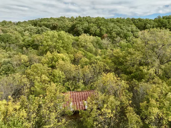 Anderson, MO 64831,12901 Prospect LN