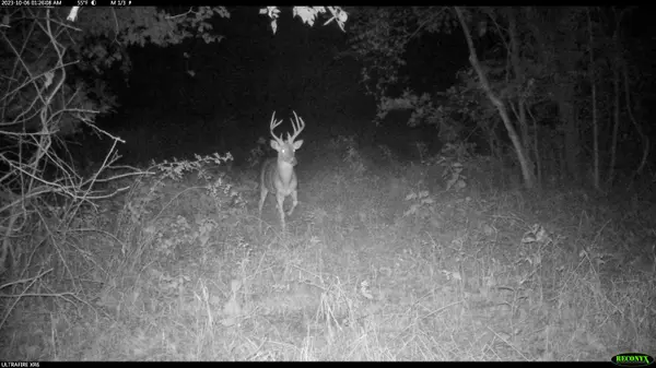 Anderson, MO 64831,12901 Prospect LN