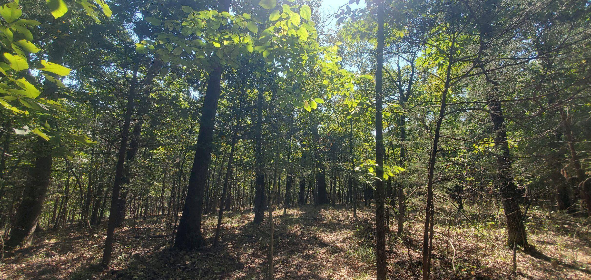 Forsyth, MO 65653,Lot 3,4,24 Adams RD