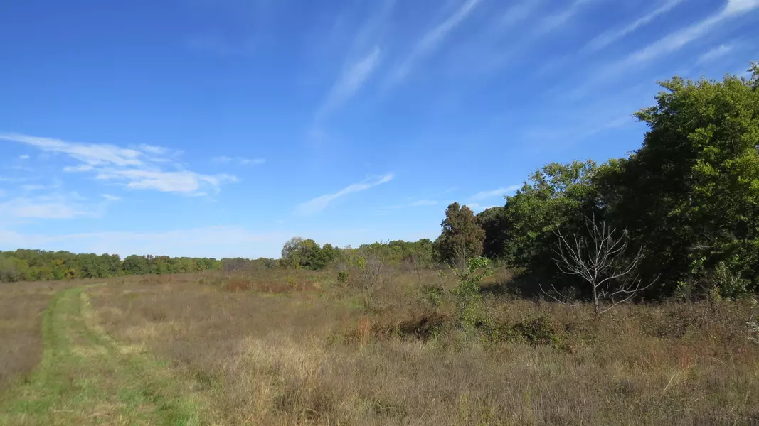 000 Private LN, Noel, MO 64854