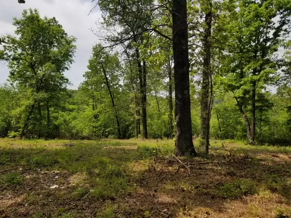 Anderson, MO 64831,6-A Creekwood Lane