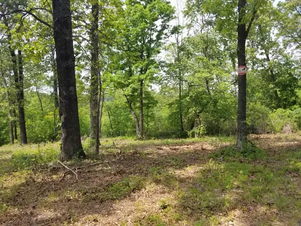 Anderson, MO 64831,6-B Creekwood Lane