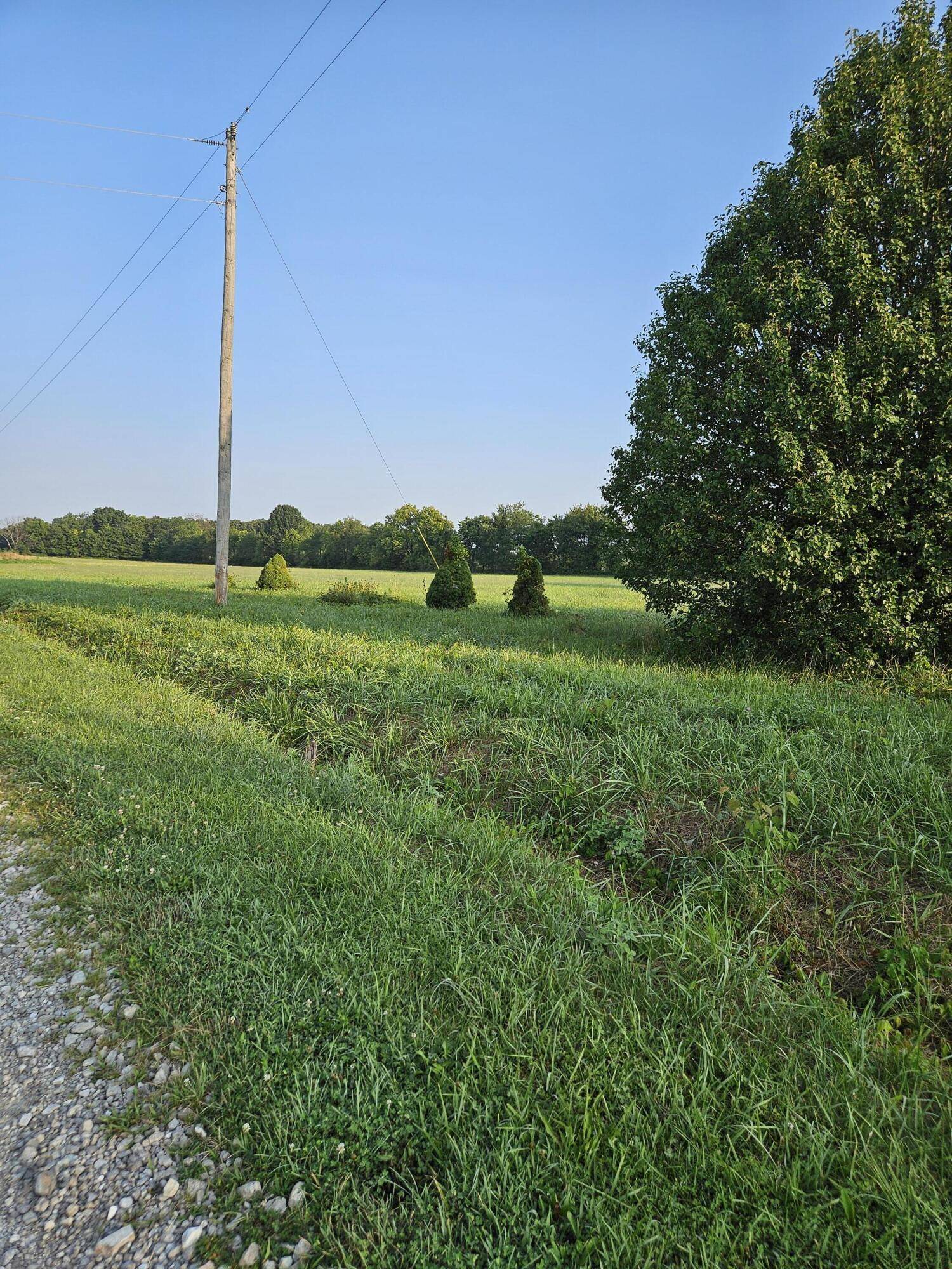 Conway, MO 65632,0 Fields DR