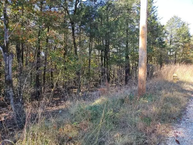 Rockaway Beach, MO 65740,335 Wallace DR