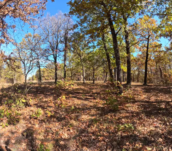 Tunas, MO 65764,Tbd Ridge