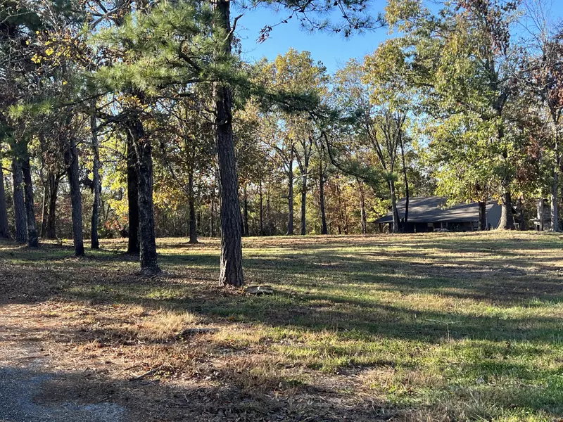 477 County Road 619, Isabella, MO 65676