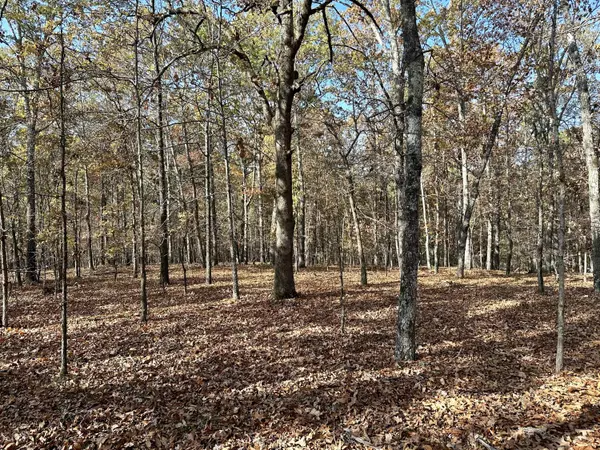 Van Buren, MO 63965,000 Route Z Highway