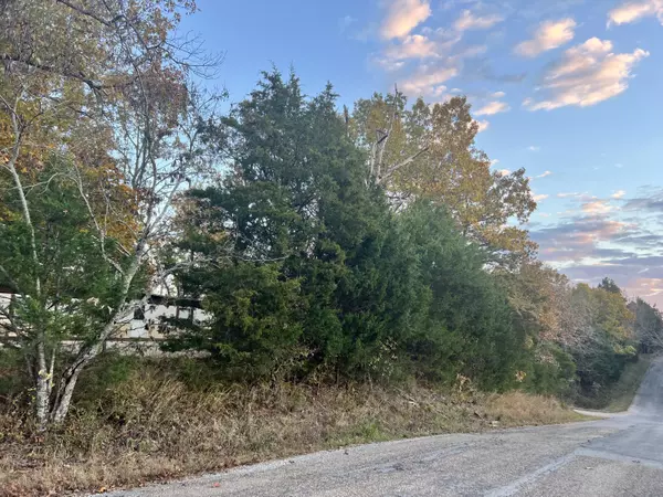 Theodosia, MO 65761,000 County Road 661