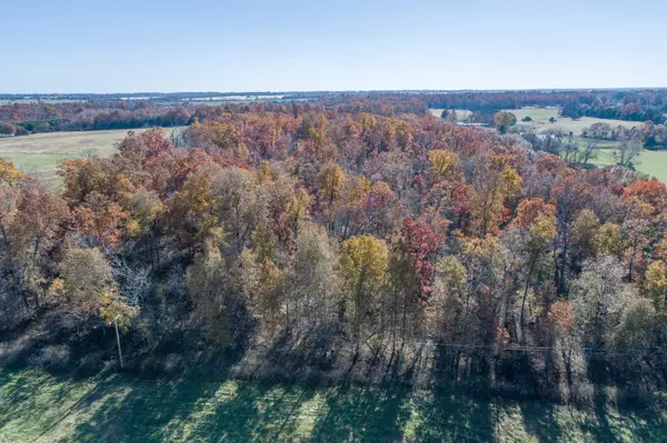 Tract D Vermule RD, Billings, MO 65610